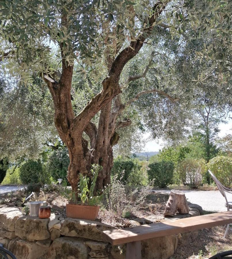 Villa La Brocca di Valdichiascio Gubbio Esterno foto